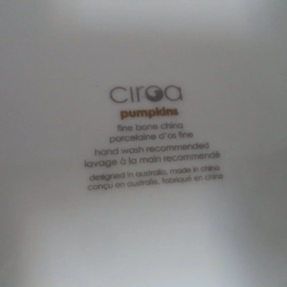 Ciroa Pumpkin Autumn Fall Thanksgiving Holiday Dinner Plate Set 6 Porcelain 11